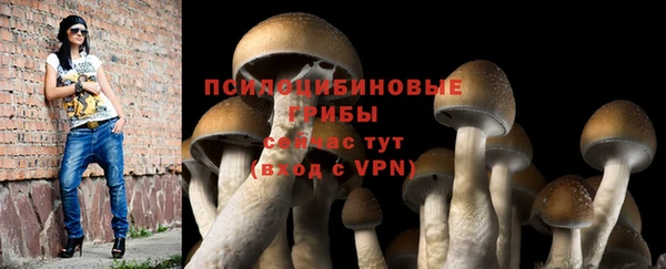героин Пестово