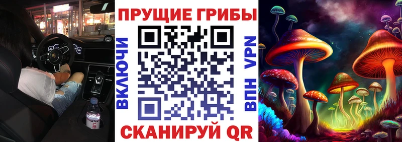 Галлюциногенные грибы GOLDEN TEACHER  Сланцы 