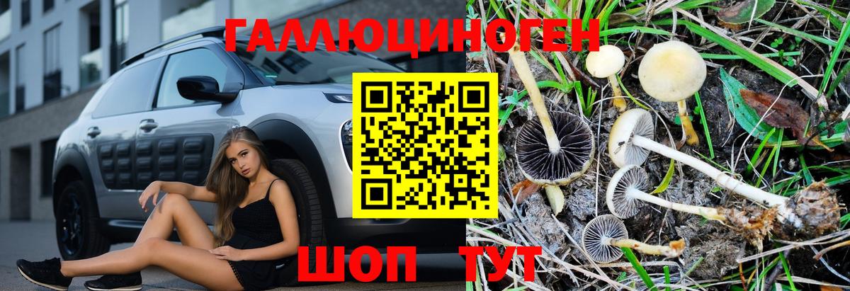 Сланцы  Галлюциногенные грибы Magic Shrooms  купить   Вход с VPN 