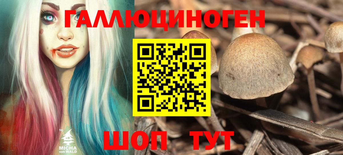 Галлюциногенные грибы мухоморы Сланцы