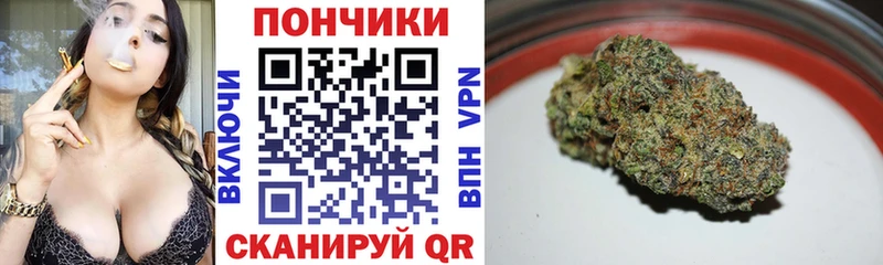 omg ССЫЛКА  Сланцы  Бошки марихуана марихуана 